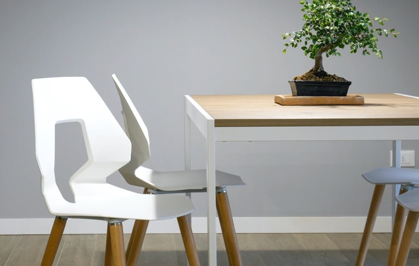 white chairs around a wooden table upon which lies a bonsai tree