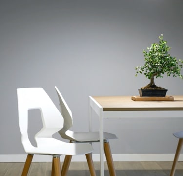 white chairs around a wooden table upon which lies a bonsai tree